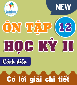 Ôn tập Học kỳ II (CTST_T12)